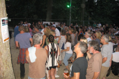 Bild-Squeezed-Waldbuehne-08081547